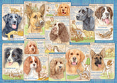 Ravensburger Dutiful Dogs Jigsaw Puzzle 1000 Piece for Adults and Kids Age 12 and Up